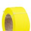 PETG+ 1000g POISON_YELLOW RFL